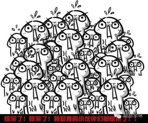 寻找原生态食材,寻找纯天然美食