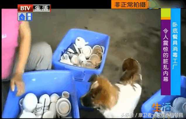 记者曝光餐具清洗,记者暗访餐具清洗厂