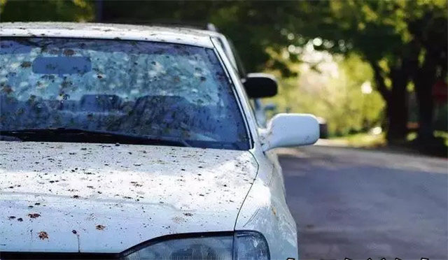 为啥买车都要推荐白色呢,买车不要被价格蒙蔽