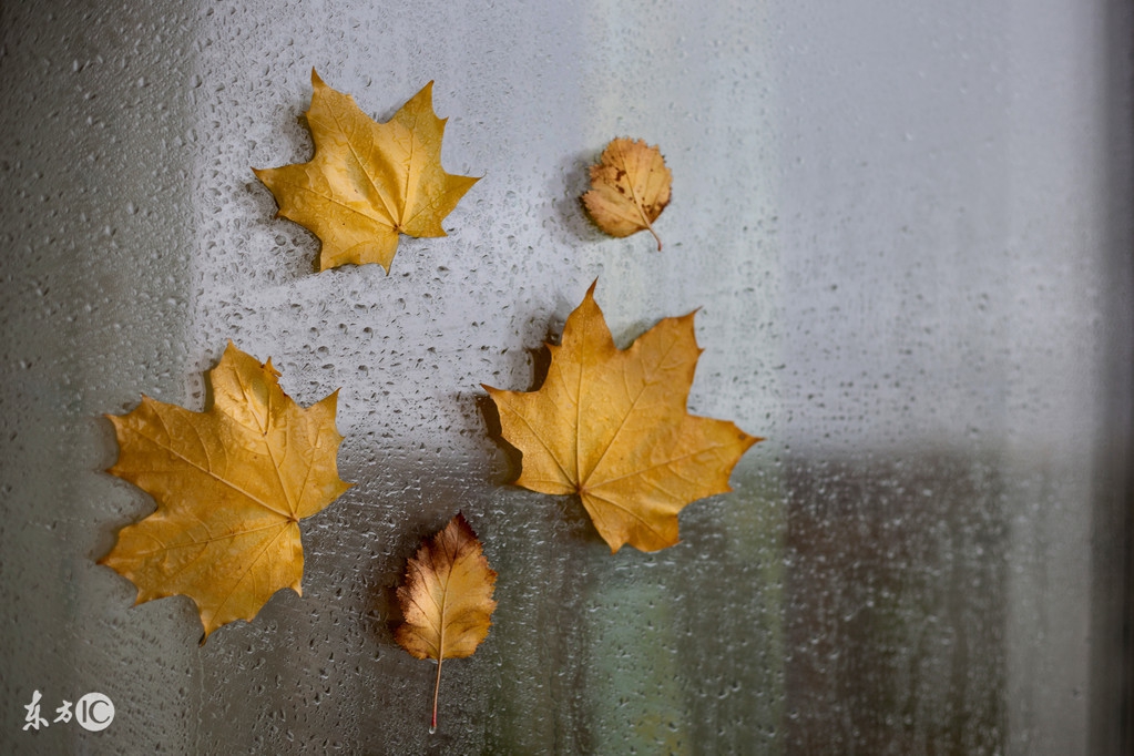 给孕产妇的10条建议，收藏吧