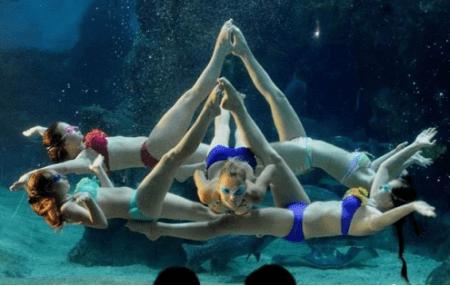 重庆汉海海洋公园团购,重庆汉海海洋公园