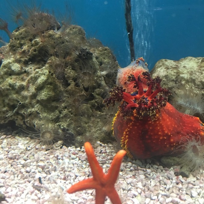 一个人越南攻略,一个人越南自驾游纪录片