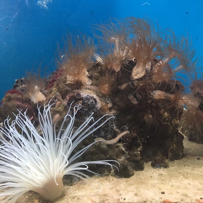 一个人越南攻略,一个人越南自驾游纪录片