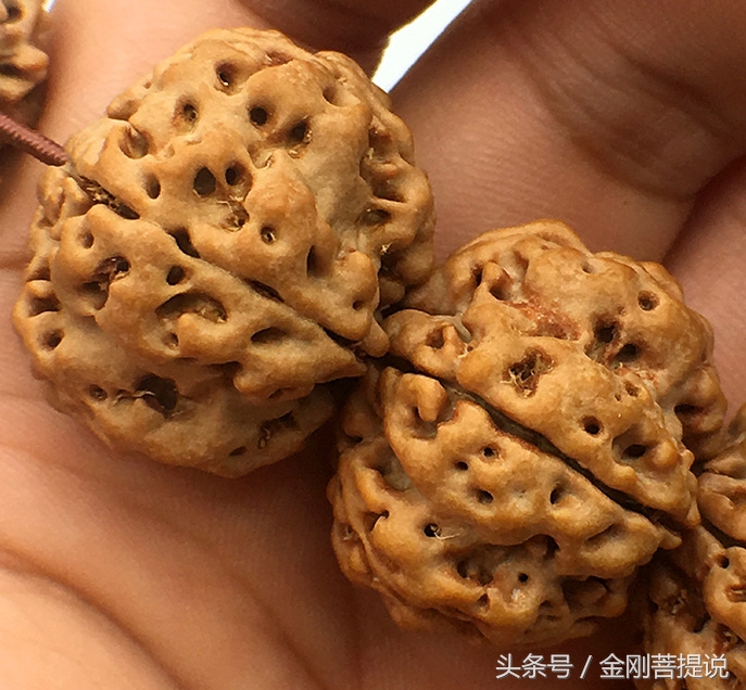 金刚好的还是坏的,金刚菩提爆肉和超肉有什么区别