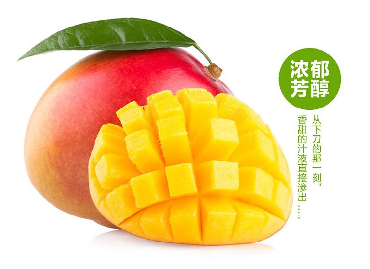 芒果有多少种品种图片,芒果有多少品种