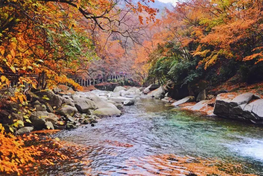 国内最值得自驾的7条绝美路线,自驾21条经典路线图