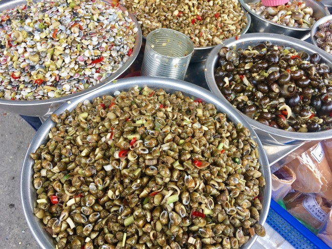 一个人越南攻略,一个人越南自驾游纪录片