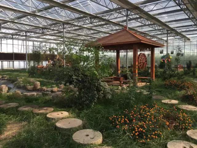 青岛冬天一日游最佳景点一览表,青岛的冬天有多浪漫