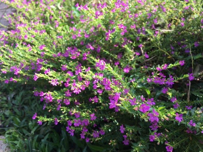 一个人越南攻略,一个人越南自驾游纪录片