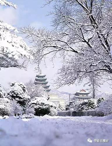 带娃冬天看雪最好的地方,冬季带孩子玩雪必备