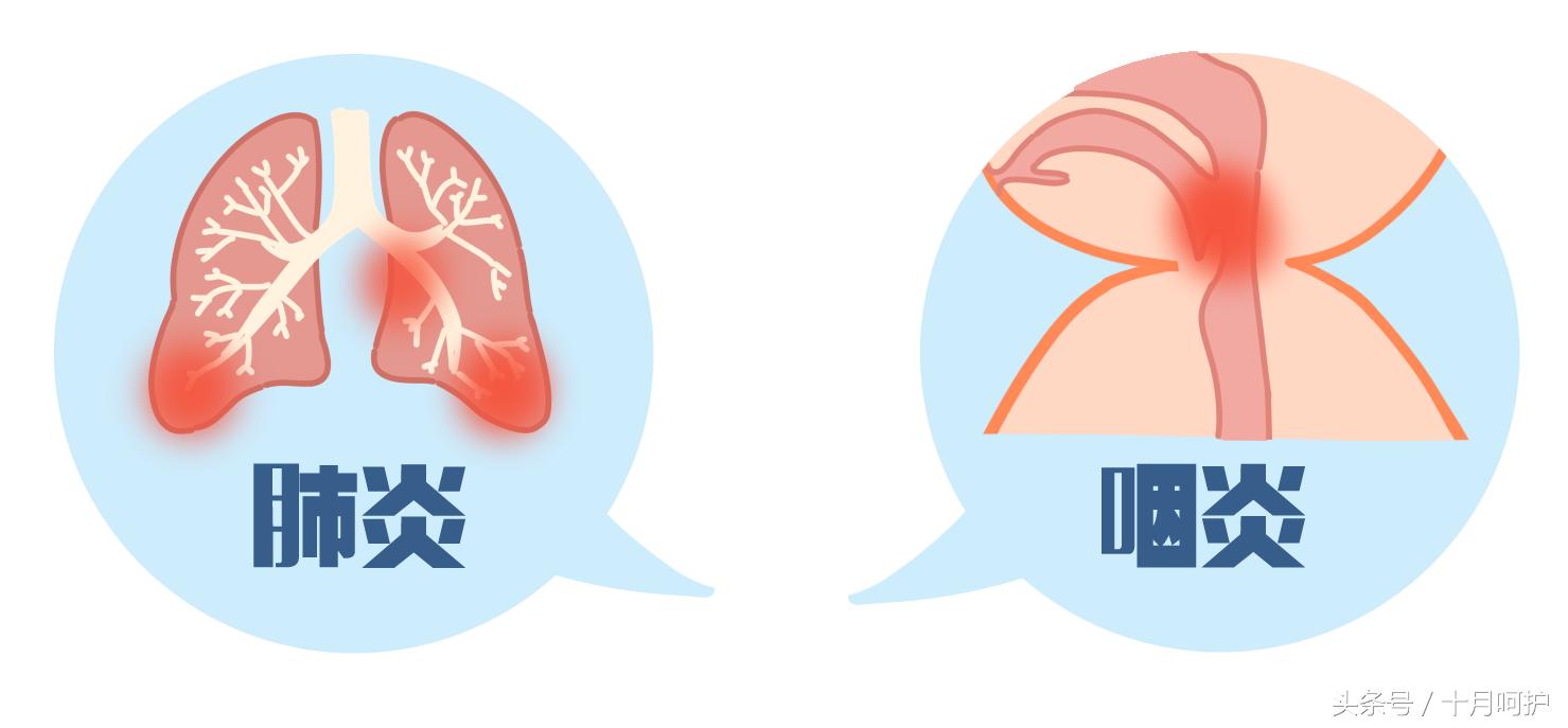 如何保护空气质量,空气质量不好的地方怎么防护