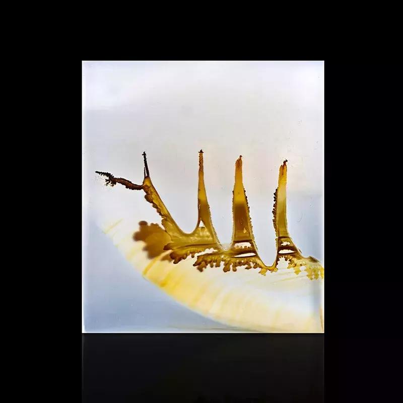 海洋玉髓纯色的好还是有花纹的好,精华海洋玉髓