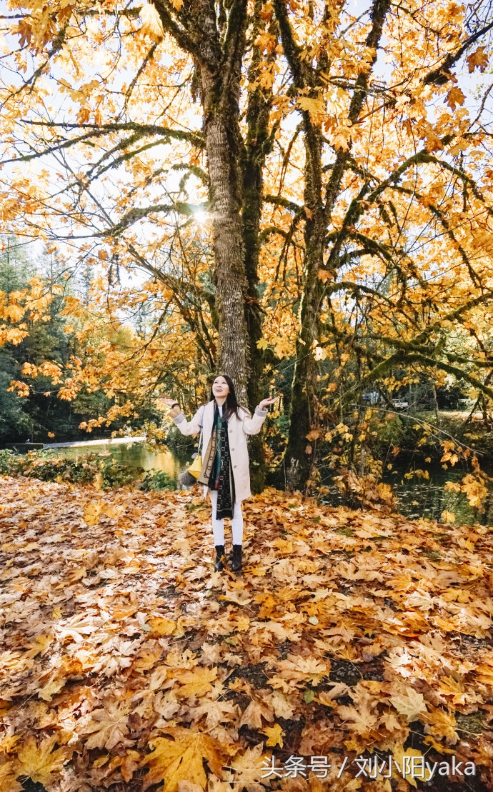 维多利亚水廊旅游,加拿大旅行景点