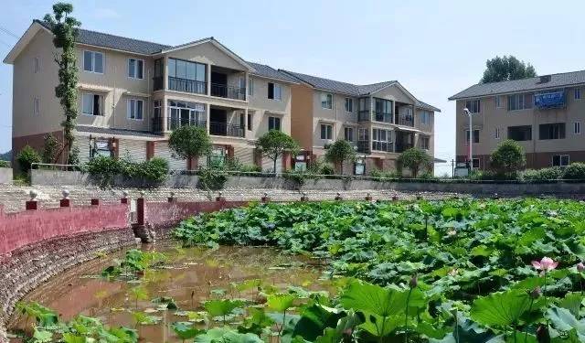 犍为县喜报,犍为近十年变化