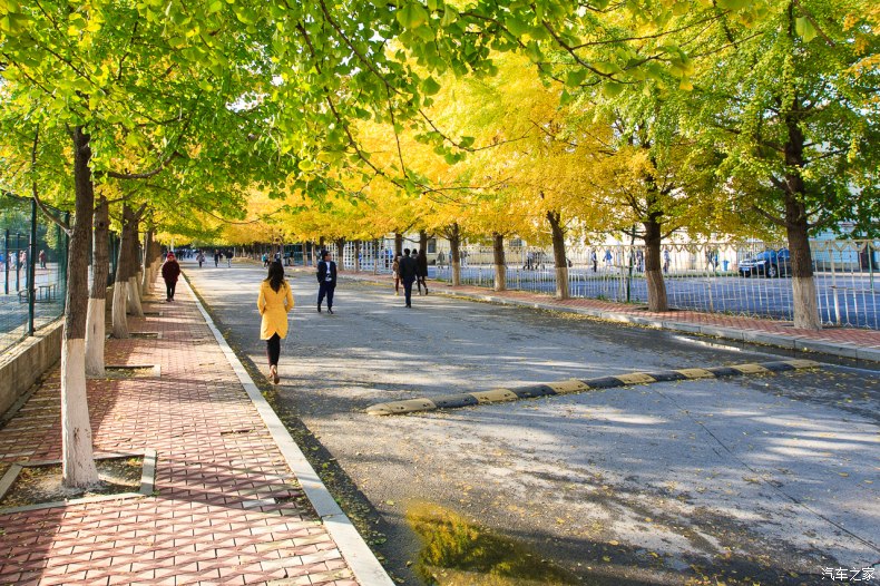 家乡之美美篇,家乡之美原唱完整版