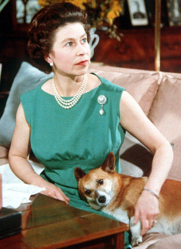 英女王一周年,英女王伊丽莎白二世在位70周年