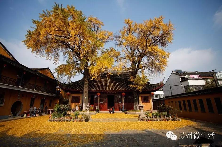 快看！苏州要在全球出名了！竟然与纽约、伦敦、东京、巴黎同上一个榜单...