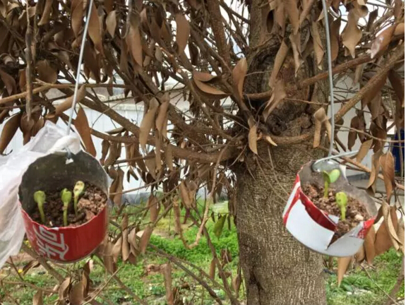 Day4：第三次修炼--在天兆