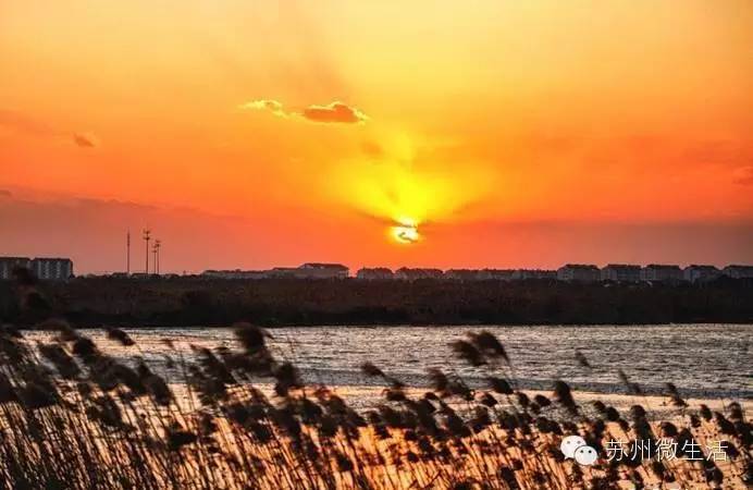 快看！苏州要在全球出名了！竟然与纽约、伦敦、东京、巴黎同上一个榜单...