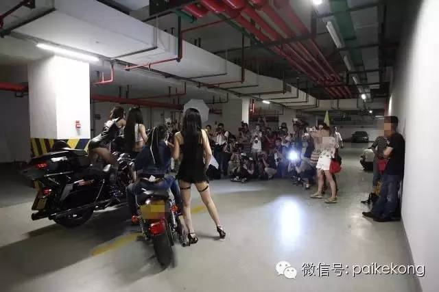 摄影狗，没女友，见了都得绕着走｜推荐