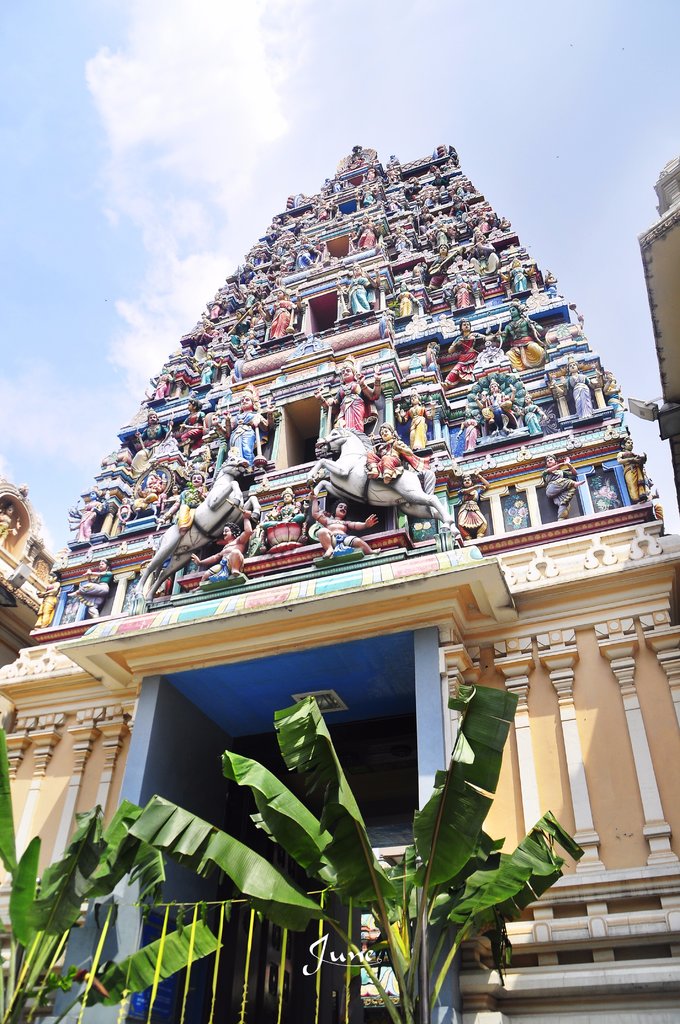 【一只熊的冒险】薄荷色夏日梦，马来西亚沙巴亚庇仙本那历险记——敦沙卡兰海洋公园（完）