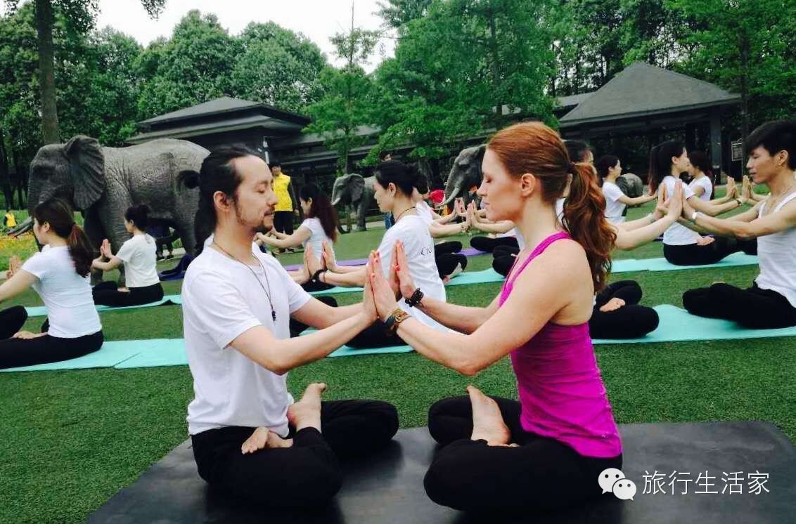 花海中最美的瑜伽,花海中的瑜伽动作