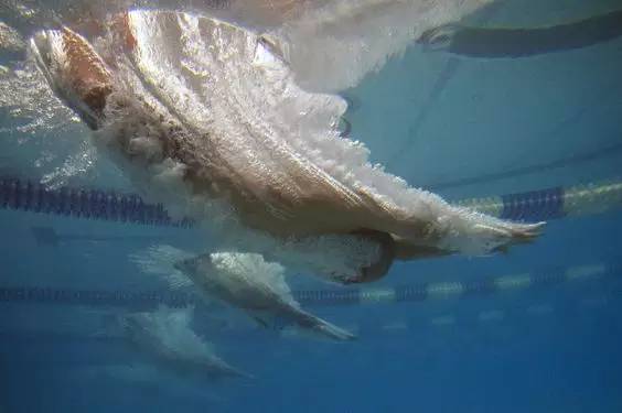 蛙泳伤膝盖哪里,蛙泳窄蹬腿和宽蹬腿哪个不伤膝盖