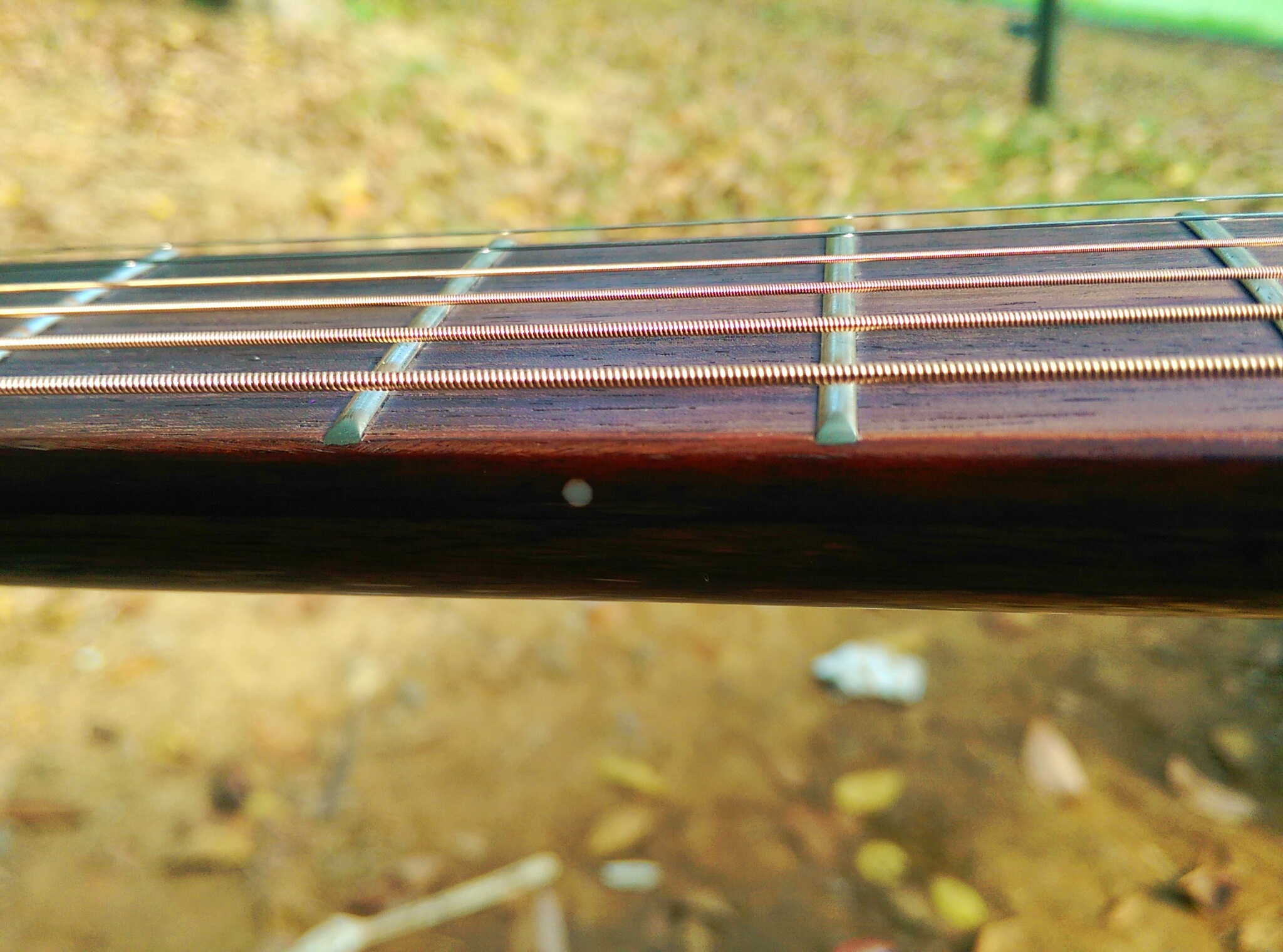 互联网思维的优质吉他——黑豆吉他体验