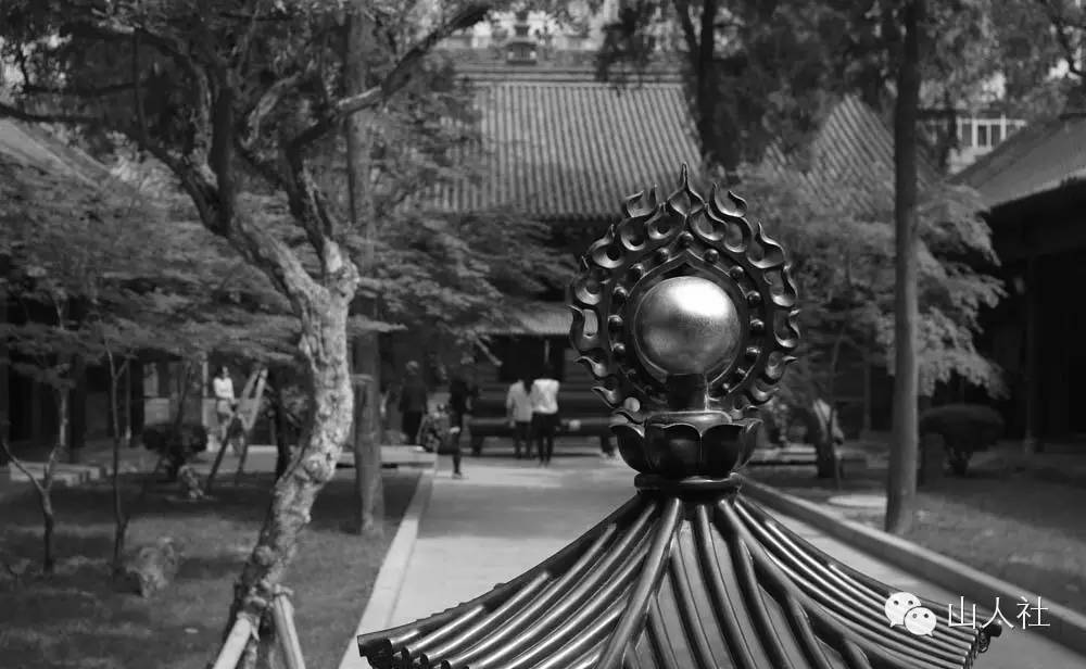 唐朝皇家寺庙罔极寺,发现古城遗址