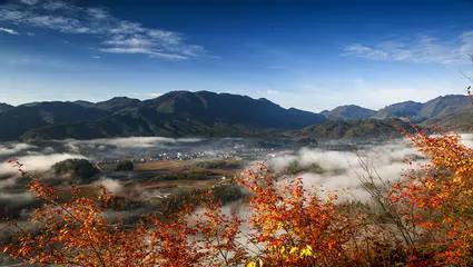 这个五一不出门完整版,巴中五一出发