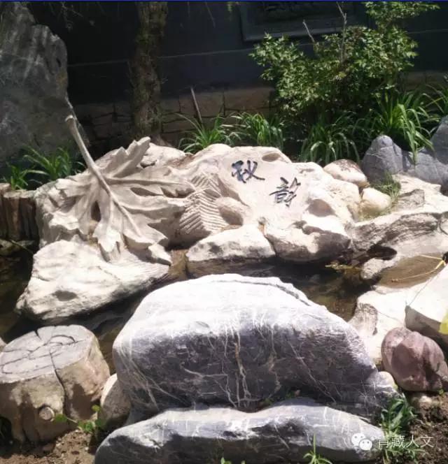 西宁景熙丰生态园,西宁景熙丰湿地公园