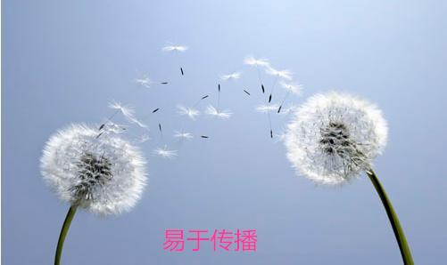 微商一个微信可以卖不同的产品吗,微商销售产品有哪些