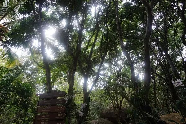 感受海岛三亚的浪漫,三亚湾浪漫之旅