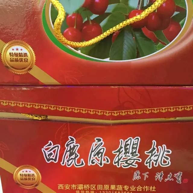 白鹿原采摘大樱桃,去白鹿原采摘樱桃