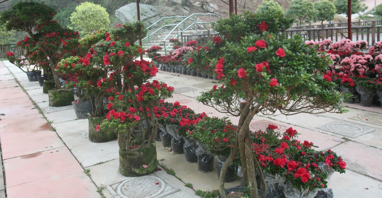 买一送一法国进口波尔多红酒,法国原瓶进口红酒多少钱