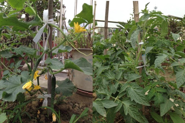 她，用旅行，战胜了癌症。