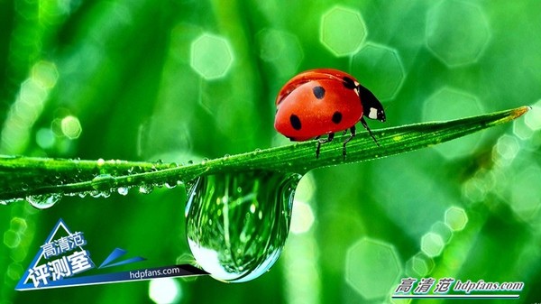 海美迪q5四代支持哪些局域网协议,海美迪机顶盒q5五代评测