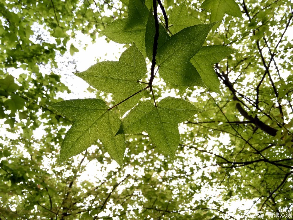 oppor9有什么好的,oppor9详细参数