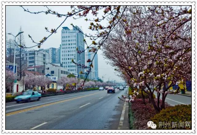 湖北荆州监利县城图片,荆州区市区图