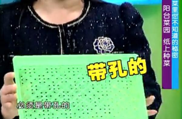 纸上种菜可以种向日葵吗,种菜小窍门两张纸就搞定