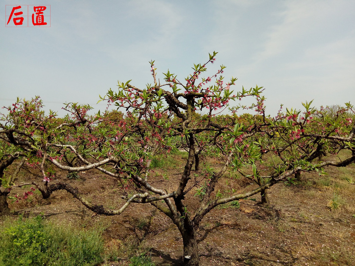 4在必得：360手机F4全体验