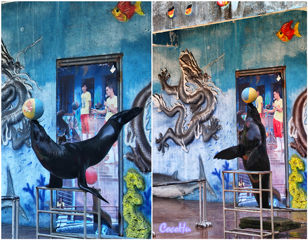 中南百草原景区动物园,中南百草原景区动物