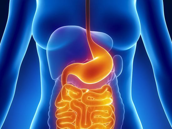 养胃促进胃动力的食物,胃动力差吃什么食物比较养胃