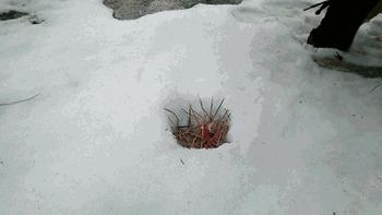 你不说我都不知道！这些低调的男人用品居然如此逆天