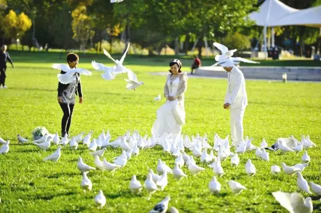 天津郊游野餐的地方,天津野餐