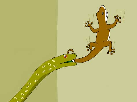 一个小故事告诉我们一个道理,靠自己的小故事告诉我们什么道理