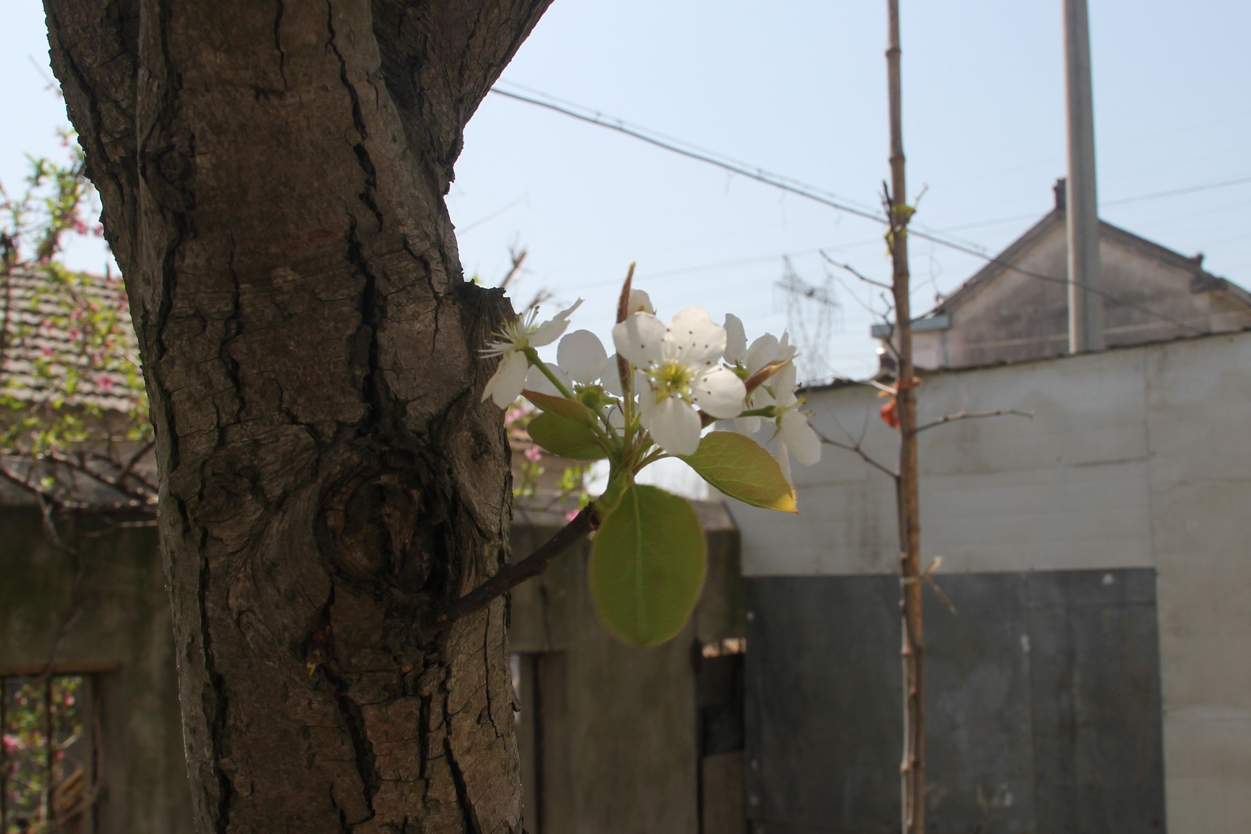 三星s7对比5s,三星s7e和note7