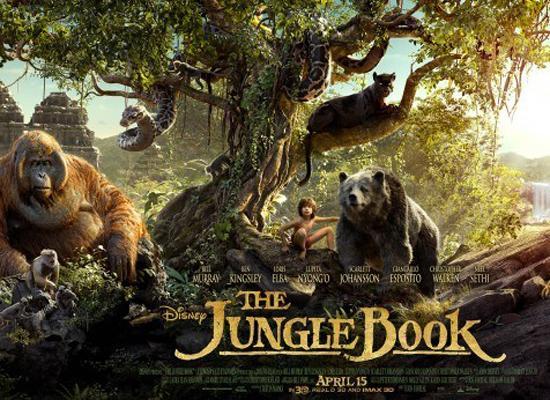 太赞了！一位10岁的小男孩撑起了整部奇幻森林！