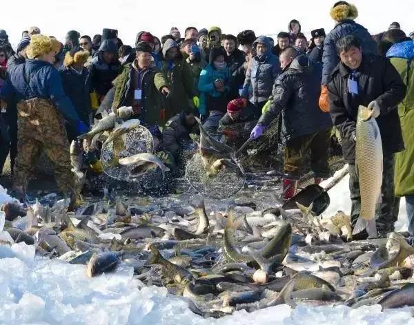 开江鱼美食节松花湖,吉林市品尝开江鱼美食宣传视频
