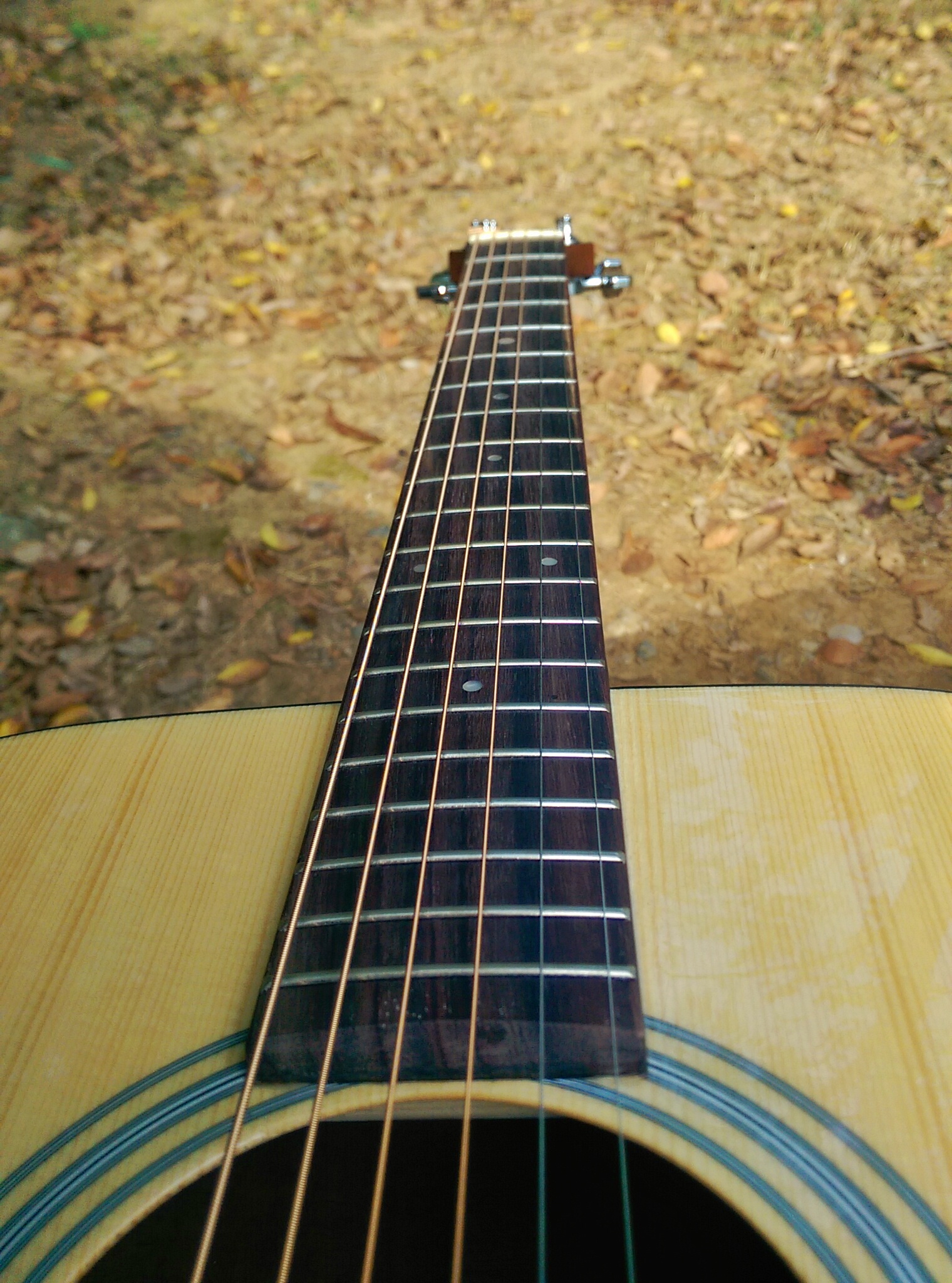 互联网思维的优质吉他——黑豆吉他体验